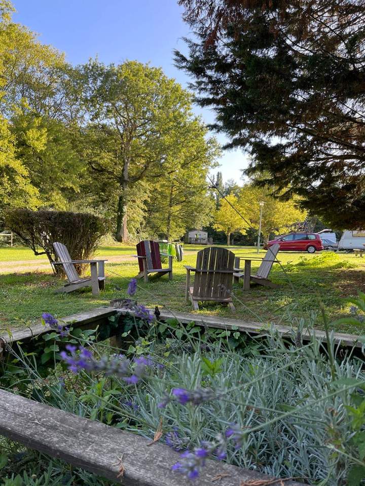 Animaux en liberté Saint-Hilaire-les-Andrésis